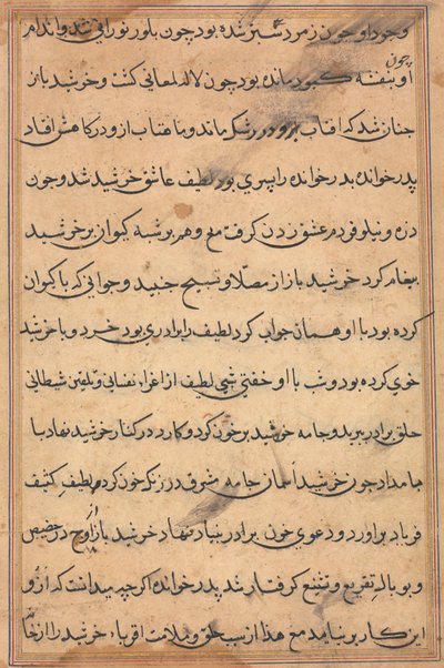 Sivu julkaisusta Tales of a Parrot Tuti-nama: tekstisivu, n. 1560. tekijältä Unbekannt