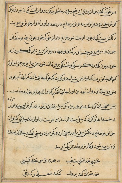 Sivu julkaisusta Tales of a Parrot Tuti-nama: tekstisivu, n. 1560. tekijältä Unbekannt