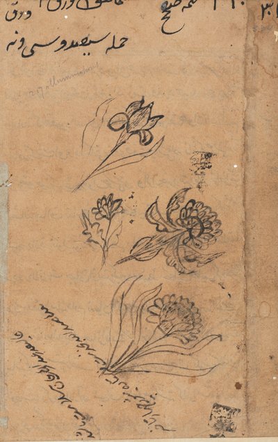 Sivu julkaisusta Tales of a Parrot Tuti-nama: tekstisivu, n. 1560. tekijältä Unbekannt