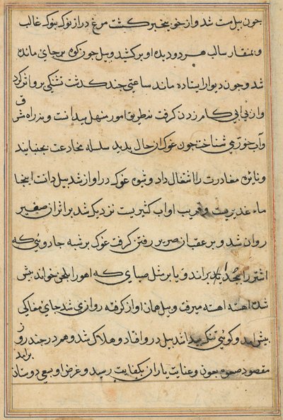 Sivu julkaisusta Tales of a Parrot Tuti-nama: tekstisivu, n. 1560. tekijältä Unbekannt