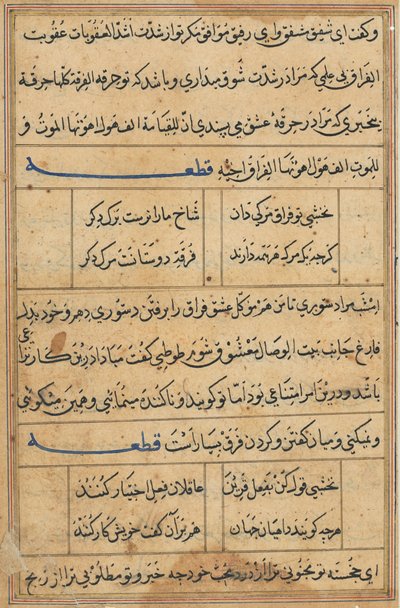 Sivu julkaisusta Tales of a Parrot Tuti-nama: tekstisivu, n. 1560. tekijältä Unbekannt