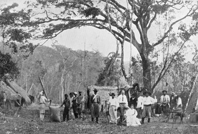 Paraguaylainen teekeräys, Paraguay, 1911 tekijältä Unbekannt