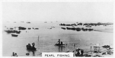 Helmenkalastus, Australia, 1928 tekijältä Unbekannt