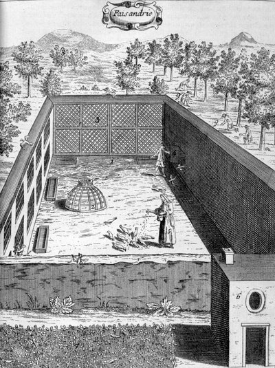 Fasaani, 1775 tekijältä Unbekannt