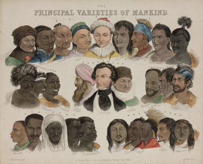Fysiognomia "Ihmiskunnan tärkeimmät lajikkeet", 3. toukokuuta 1850 tekijältä Unbekannt