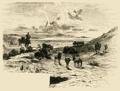Plain of Marathon, 1890. tekijältä Unbekannt