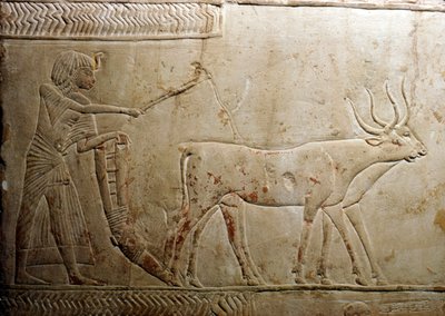Auraus egyptiläisestä steelestä, 18. dynastia, 1332 eKr.-1323 eKr. tekijältä Unbekannt