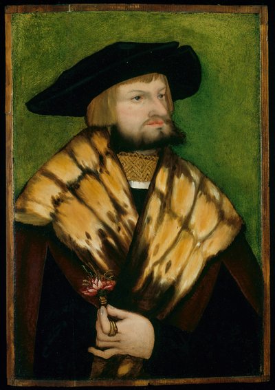 Leonhard Fuchsin muotokuva, 1525. tekijältä Unbekannt
