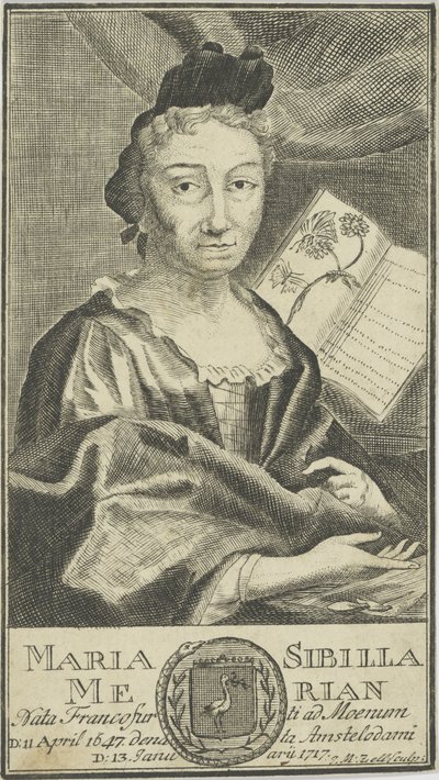 Maria Sibylla Merianin muotokuva 1647-1717, 1755. tekijältä Unbekannt