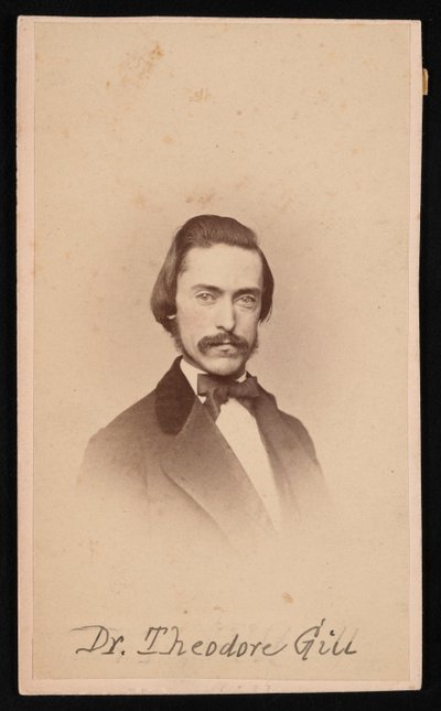 Theodore Nicholas Gillin muotokuva 1837-1914, noin 1860-luku. tekijältä Unbekannt