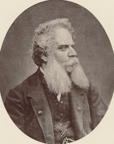Säveltäjä Federico Riccin muotokuva 1809-1877 n. 1870. tekijältä Unbekannt
