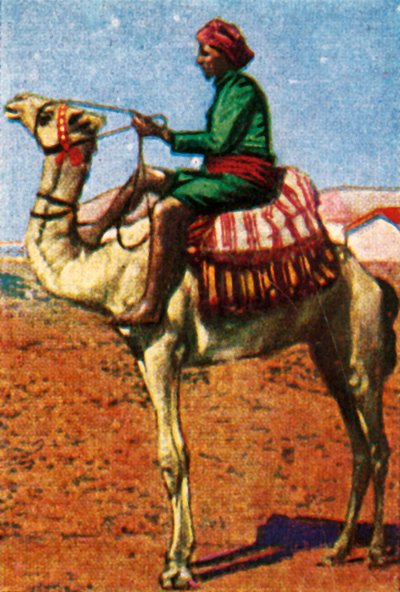 Postin toimitti camel, Arabia, c1928. tekijältä Unbekannt