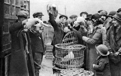 Siipikarjakauppiaat, Caledonian Market, Lontoo, 1926-1927 tekijältä Unbekannt