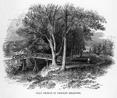 Pray Bridge Fridley Meadowsissa, Surreyssa, 1800-luvulla tekijältä Unbekannt