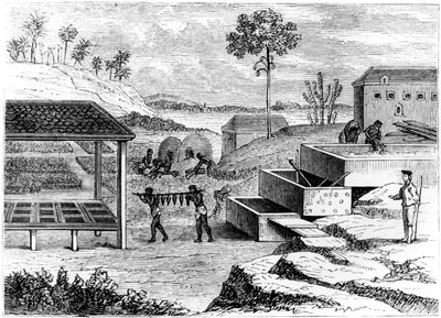 Valmistellaan indigoa, Santo Domingo, 1873 tekijältä Unbekannt