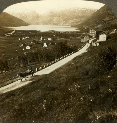 Kaunis vuoristoseinämäinen kylä ja Roldalin järvi karussa Länsi-Norjassa, vuodelta 1905. tekijältä Unbekannt