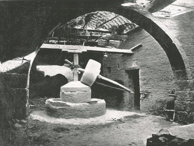 Alkukantainen maissimylly, Niilin suisto, Egypti, 1895. tekijältä Unbekannt