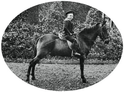 Prinssi Albert Windsor kuuden vuoden iässä hevosen selässä, 1902 tekijältä Unbekannt