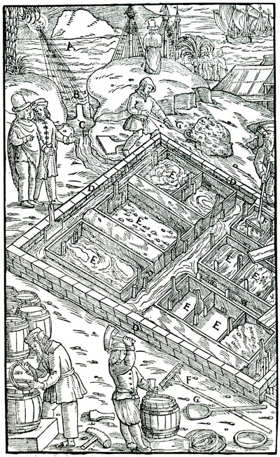 Suolan valmistus haihduttamalla merivettä suolaaltaissa, 1556 tekijältä Unbekannt