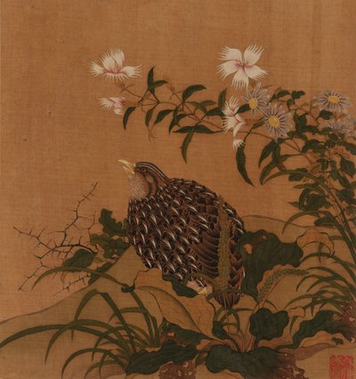 Viiriäisiä ja kukkia, Qing-dynastia, 1700-luku. tekijältä Unbekannt