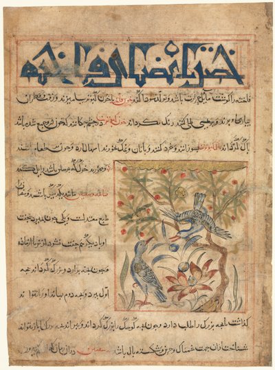 Ringdoves recto:n ominaisuudet Manafi al-Hayawanista Eläinten hyödyllisyydestä, c. 1300. tekijältä Unbekannt