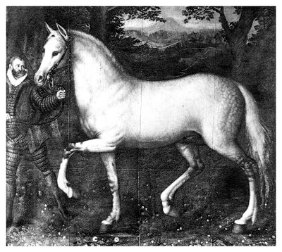 Queen Elizabeth on hevonen, 1896 tekijältä Unbekannt
