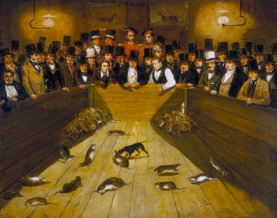 "Rat-Catching at the Blue Anchor Tavern, Bunhill Row, Finsbury", c1850 tekijältä Unbekannt