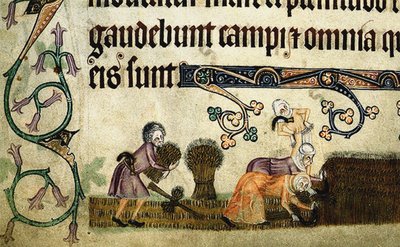 Lyhteiden niitto ja sitominen Luttrell-psalterista, n. 1330 tekijältä Unbekannt