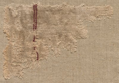Rep Cloth, 3. vuosisata. tekijältä Unbekannt