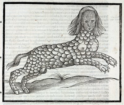 "Representation de la Creature Lamia (Sybaris) Gravure tiree "History of Four-footed Beastes" d