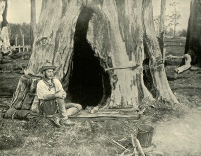 Lepo, 1901. tekijältä Unbekannt