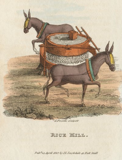 Riisimylly, 1813 tekijältä Unbekannt