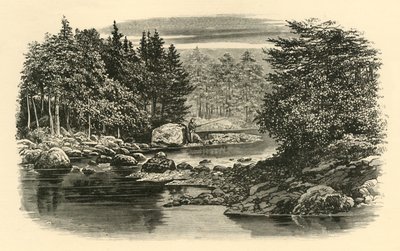 River Scene, Langdale, 1890. tekijältä Unbekannt