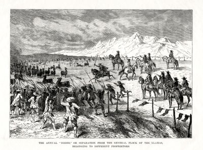 Rodeo, Etelä-Amerikka, 1877 tekijältä Unbekannt