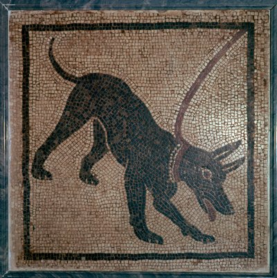 Roomalainen koiran mosaiikki, 1. vuosisata tekijältä Unbekannt