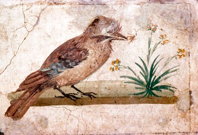 Roomalainen seinämaalaus Jaysta Boscorealesta lähellä Pompeja, 1. vuosisadalla tekijältä Unbekannt