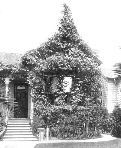 Rose Cottage, South Spring Street, Los Angeles, Kalifornia, USA, c1900. tekijältä Unbekannt