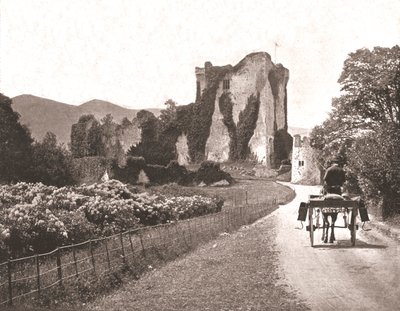 Ross Castle, Isle of Ross, County Kerry, Irlanti, 1894. tekijältä Unbekannt