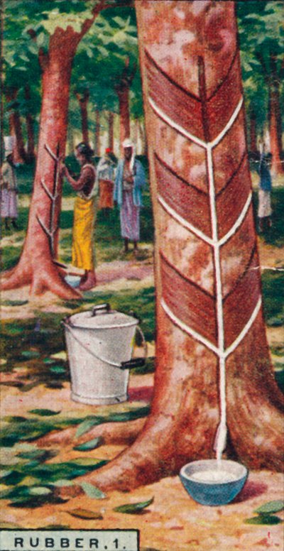 Kumi, 1. Tapping the Trees, Ceylon, 1928 tekijältä Unbekannt