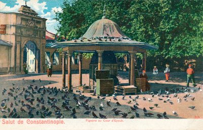 Salut de Constantinople - Kyyhkyset Eyoubin hovissa, n. 1900 tekijältä Unbekannt