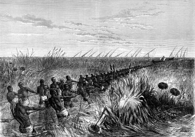 Samuel Bakersin vene vedetty joen nurmikolla, 1864 1874 tekijältä Unbekannt