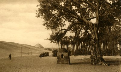 Saqqara - askelpyramidi Sycomoresta nähtynä, c1918-c1939. tekijältä Unbekannt