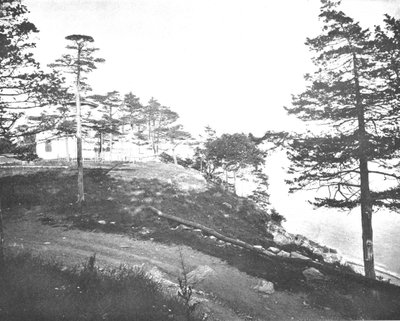 Savin Rock, New Haven, Connecticut, USA, c1900. tekijältä Unbekannt
