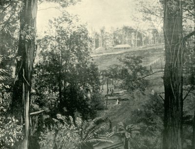 Kohtaus Upper Gembrookissa, Victoriassa, 1901. tekijältä Unbekannt