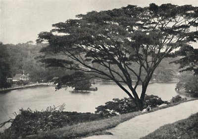 Järvi, Temple of the Sacred Tooth Reed ja kirjasto Kandyssa, katsottuna Victoria Drivesta itään, 192 tekijältä Unbekannt