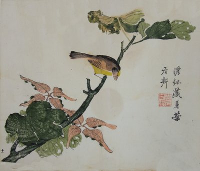Seeds and Aleurites Cordata: Sivu sinapinsiemenpuutarhan käsikirjasta..., 1782, 2. painos. tekijältä Unbekannt