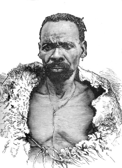 Puu, c1880 tekijältä Unbekannt