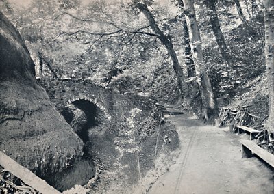 Shanklin - Chine, 1895 tekijältä Unbekannt