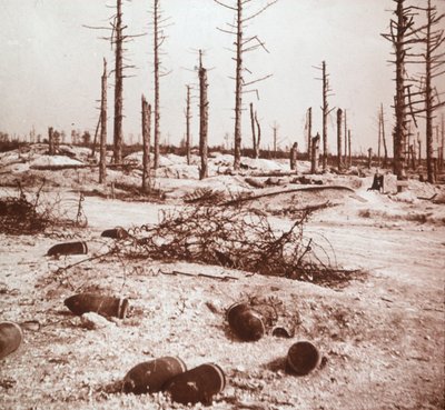 Shells, Verdun, Pohjois-Ranska, c1914-c1918 tekijältä Unbekannt