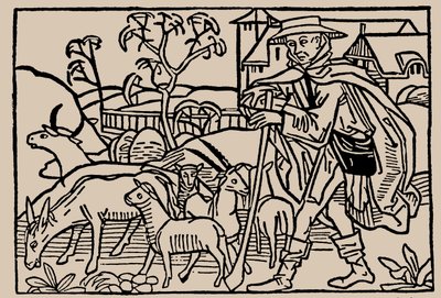 Paimen. Rodericus Zamorensisin ihmiselämän peilistä, 1479 tekijältä Unbekannt